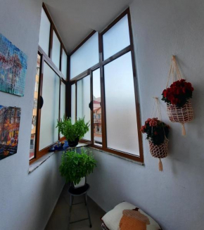 Vila Lordev Apartment